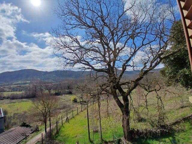 Villetta a schiera in vendita a Montecastrilli TR
