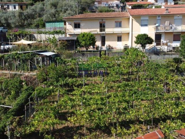 Villetta a schiera in vendita a Montignoso MS