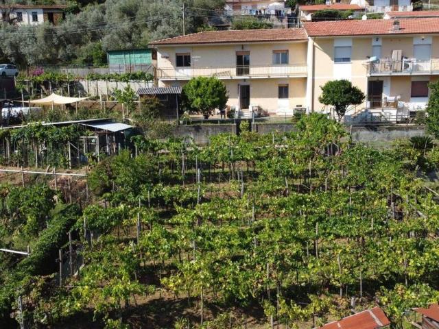 Villetta a schiera in vendita a Montignoso MS