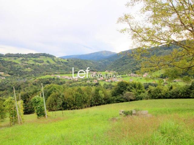 Villetta a schiera in vendita a Borgo Valbelluna BL