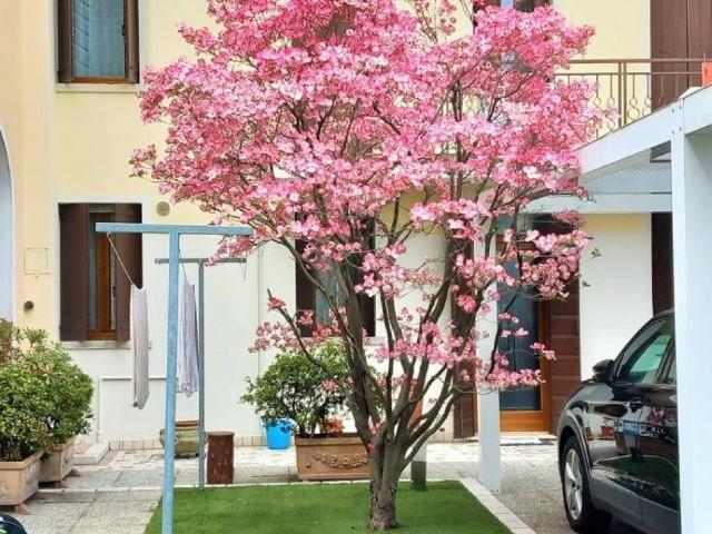 Villetta a schiera in vendita a Castelfranco Veneto TV