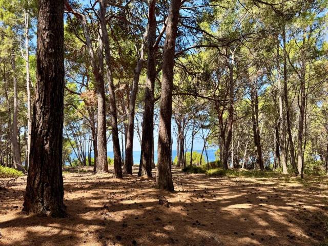 Villetta a schiera in vendita a Castellabate SA
