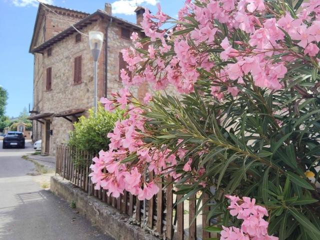 Villetta a schiera in vendita a Castiglione del Lago PG