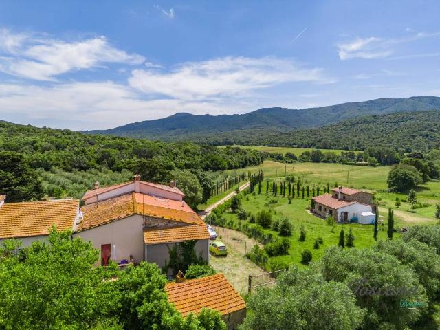 Villetta a schiera in vendita a Castiglione della Pescaia GR