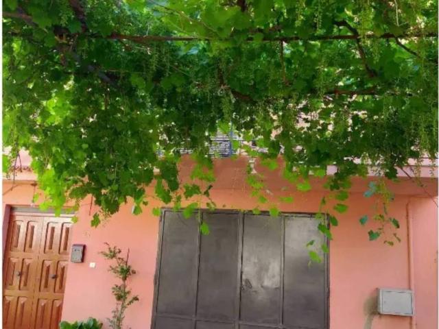 Villetta a schiera in vendita a Cardinale CZ