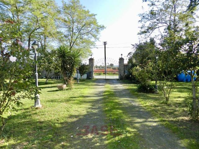 Villetta a schiera in vendita a Cecina LI