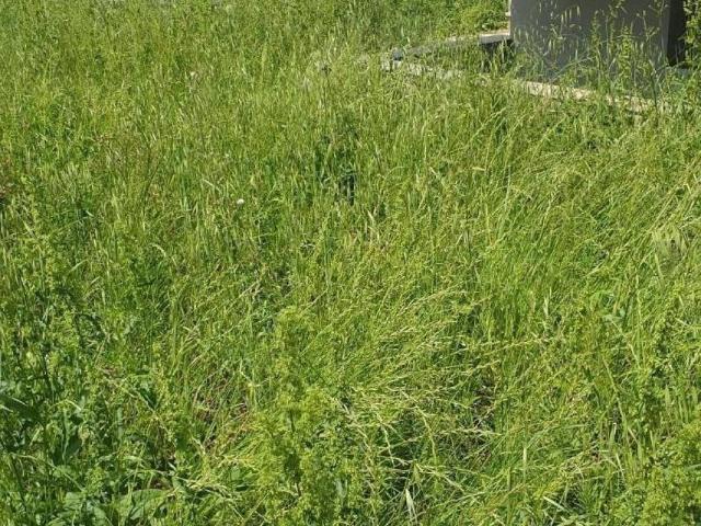 Villetta a schiera in vendita a Empoli FI