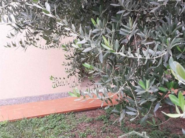 Villetta a schiera in vendita a Quistello MN
