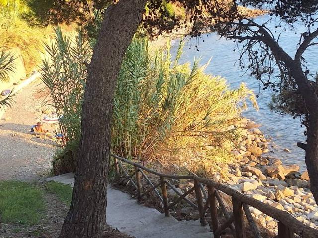 Villetta a schiera in vendita a San Mauro Cilento SA