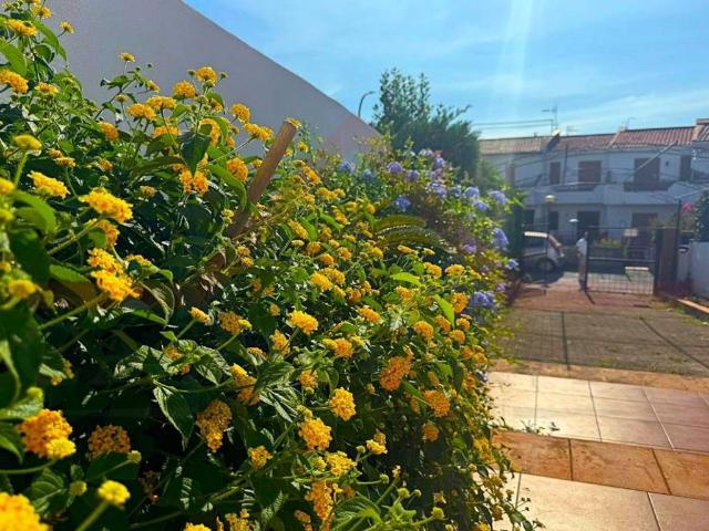 Casa indipendente in vendita a Scalea CS
