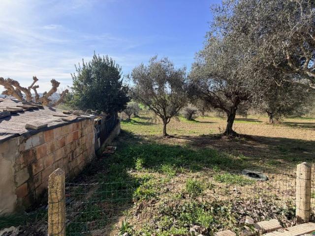 Villetta a schiera in vendita a Senigallia AN