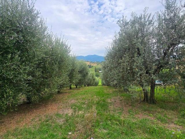Villetta a schiera in vendita a Terni TR