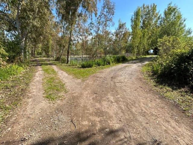 Villetta a schiera in vendita a Trevignano Romano RM