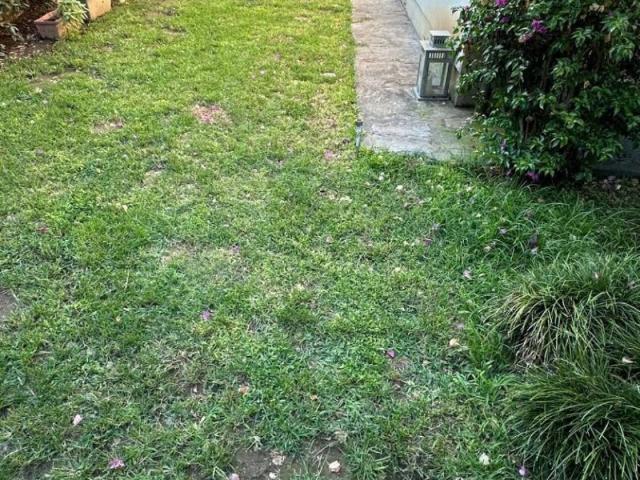 Villetta a schiera in vendita a Viareggio LU