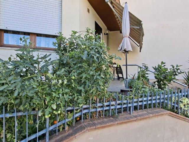 Villetta a schiera in vendita a Villadose RO
