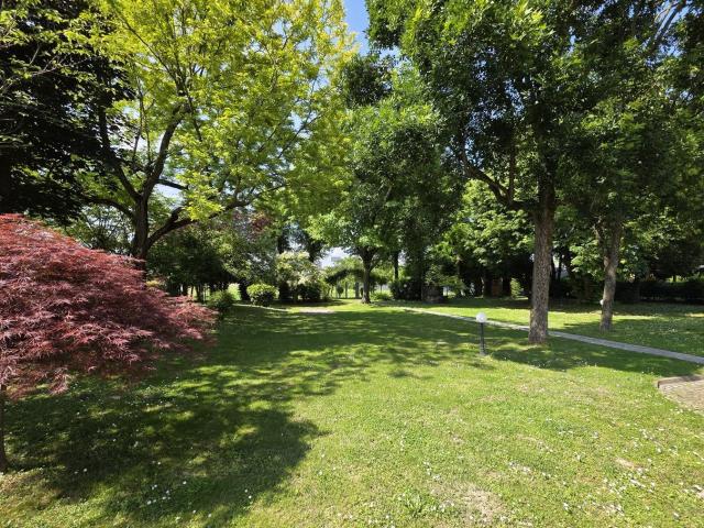 Villetta a schiera in vendita di 551 m²