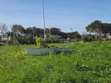 Villetta a schiera in vendita di 55 m² in Via Calasetta, 39