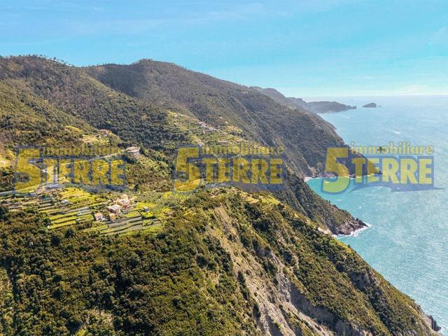Villetta a schiera in vendita di 60 m² in Via Litoranea