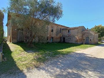 Costalpino, Siena Toscana, Toscana - Giardino