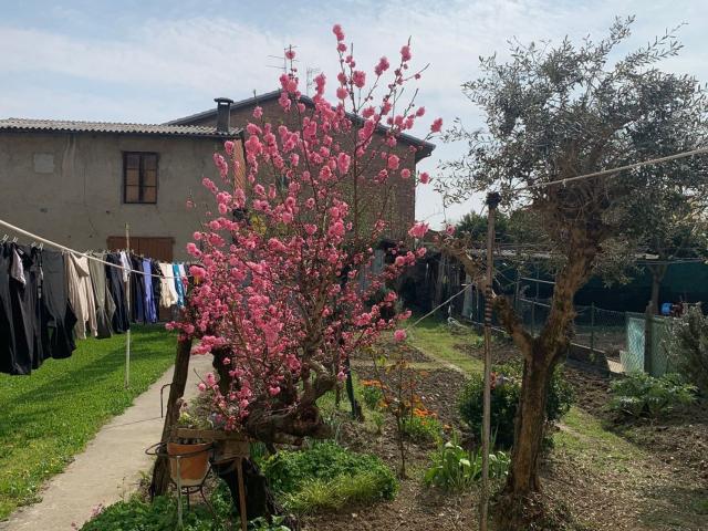 Villetta a schiera in vendita di 106 m² in Via Lume, 1518