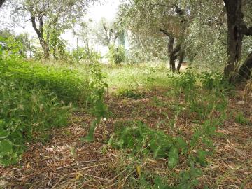 Villetta a schiera in vendita di 111 m² in Via Salaiola, 242
