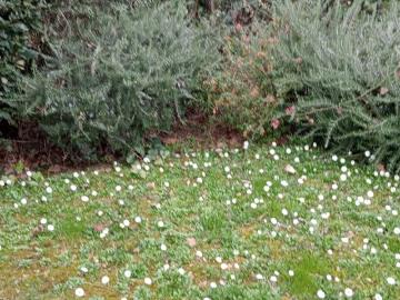 Villetta a schiera in vendita di 120 m² in Via Macia