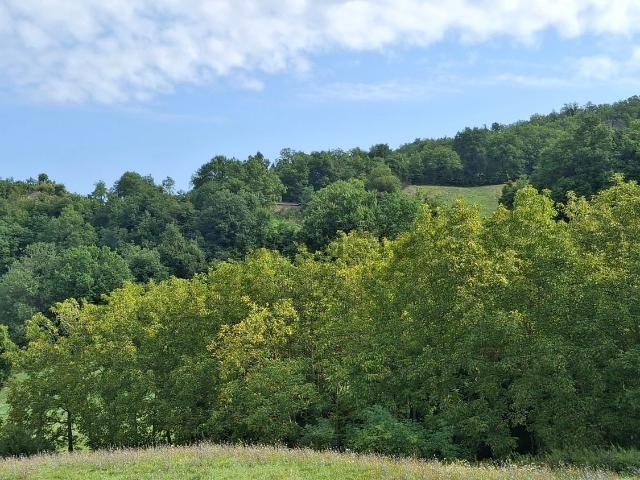 Villetta a schiera in vendita di 120 m² in Via Serra di Sotto, 116