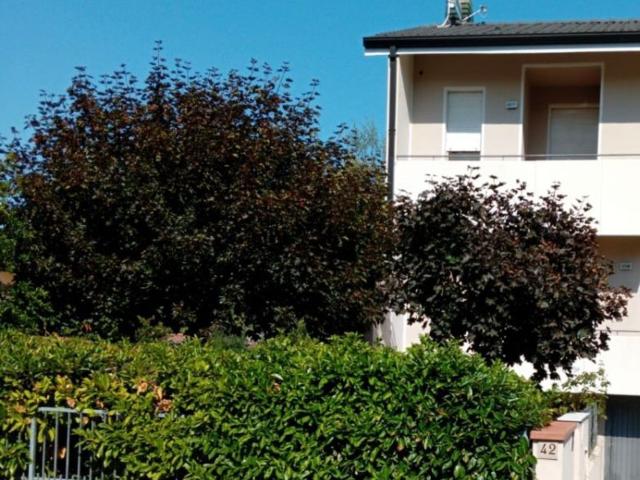 Villetta a schiera in vendita di 160 m² in Viale Antonio Gramsci