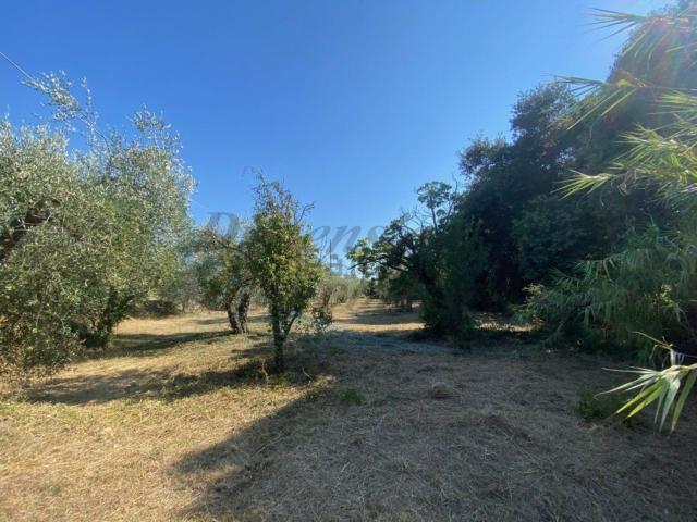 Villetta a schiera in vendita di 170 m² in Località stradone polveroni, 9
