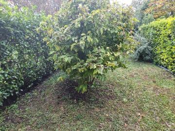 Villetta a schiera in vendita di 195 m² in Via Usodimare Antoniotto