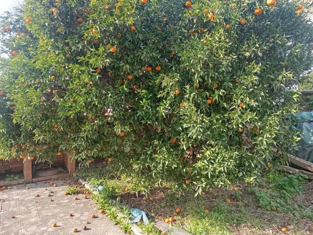 Villetta a schiera in vendita di 200 m² in Via S. Nullo, 172