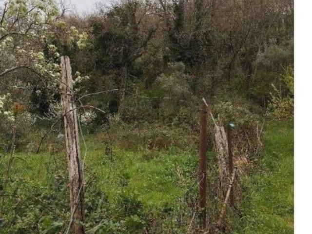 Villetta a schiera in vendita di 216 m² in Via Lungo Busento Oberdan