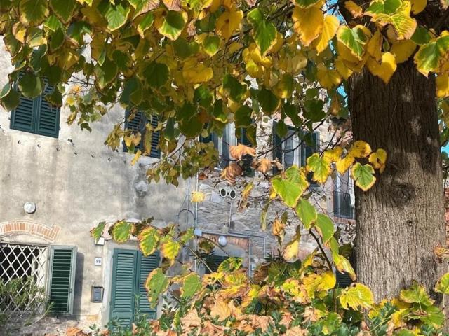 Villetta a schiera in vendita di 250 m²