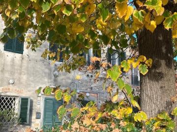 Verciano, Lucca Toscana, Toscana