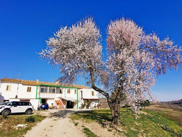 Villetta a schiera in vendita di 254 m² in Contrada Coll&apos Alto