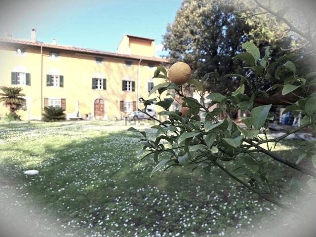 Villetta a schiera in vendita di 390 m² in Via di Mezzo Nord