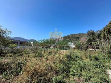Curteri, Avellino Campania, Campania - Giardino