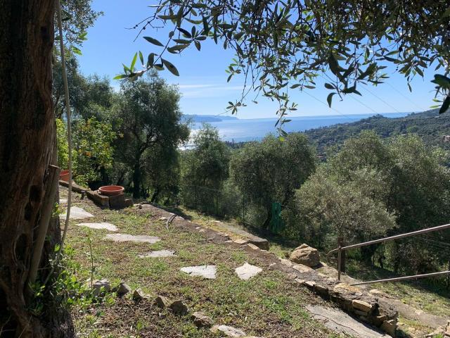Villetta bifamiliare in vendita di 157 m² in Via San Lorenzo
