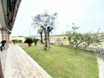 Anzio, Latina Lazio