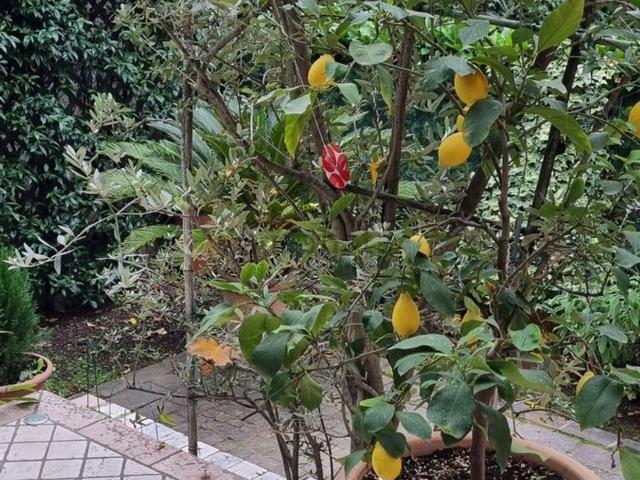 Villetta bifamiliare in vendita di 190 m² in Via Baracca, 30