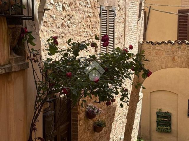 Villetta bifamiliare in vendita di 100 m² in Via Giulia