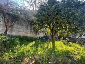 Antessano, Salerno Campania