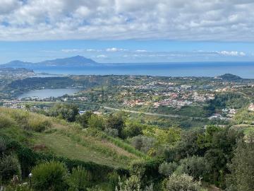 Villetta bifamiliare in vendita di 12500 m² in Via Coste Angelo, 41