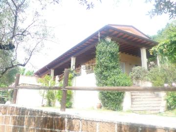 Strettoia, Lucca Toscana, Toscana - Giardino