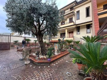 Cesa Caserta, Caserta Campania, Campania