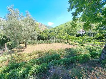 Fusara, Salerno Campania