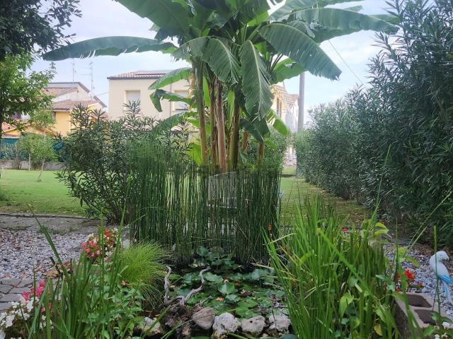 Villetta bifamiliare in vendita di 260 m²