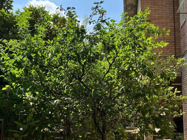 Villetta bifamiliare in vendita di 273 m² in Via Socrate Sardelli, 15