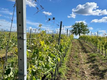 Villetta bifamiliare in vendita di 350 m²