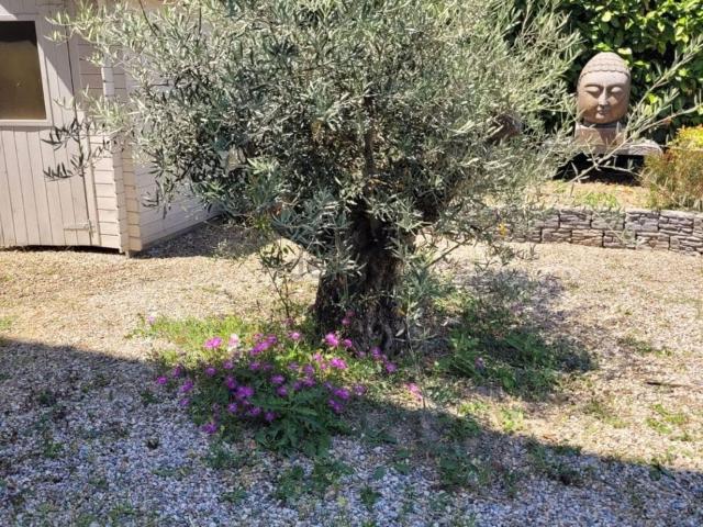 Villetta bifamiliare in vendita di 315 m² in Via Tevere